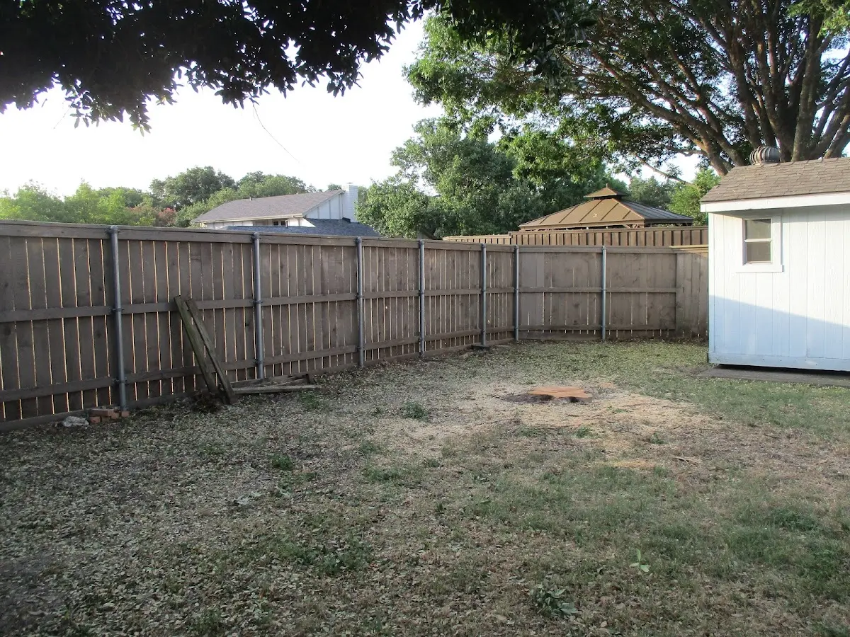 Cleared yard after professional tree removal in Breckenridge